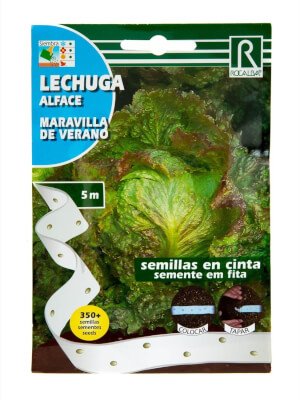 Rocalba -Maravilla de Verano- Lettuce Seeds Tape