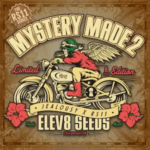 Mystery Made 2