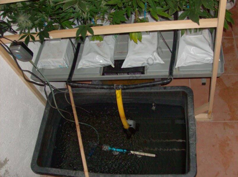 Comment monter un système de culture de cannabis hydroponique- Alchimia  Grow Shop