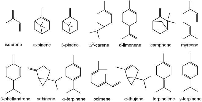 A few of the terpenes found in cannabis