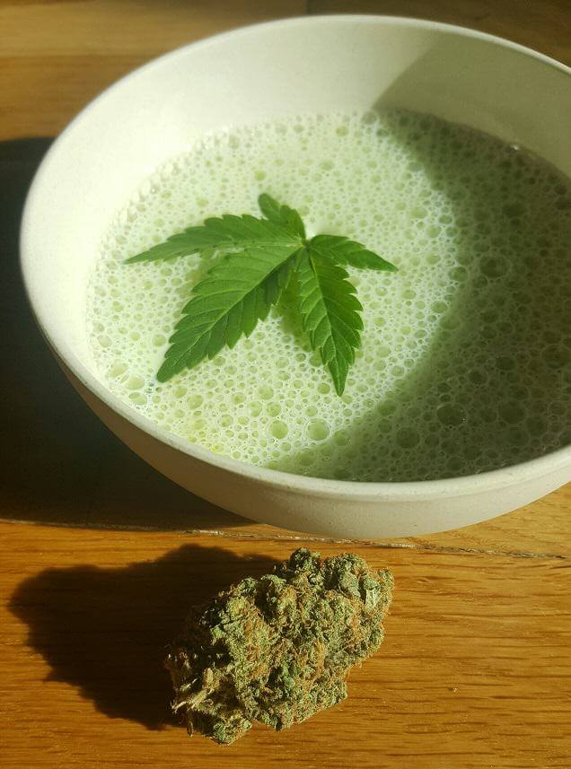 Cómo hacer una infusión de cannabis?- Alchimia Grow Shop