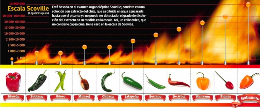 How Hot is Wasabi? Spiciness on the Scoville Scale Explained