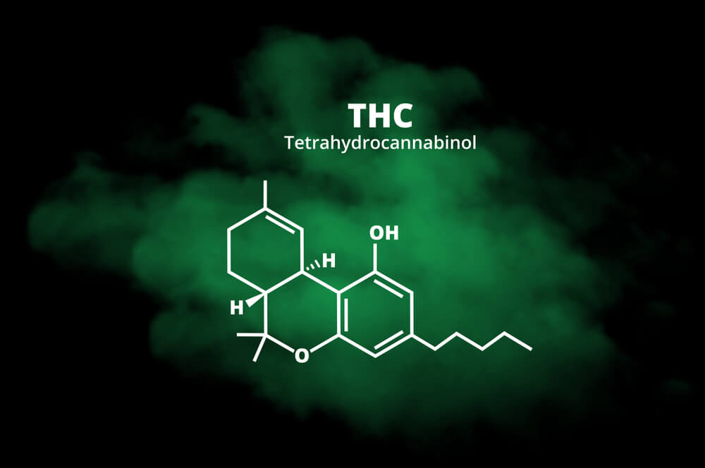 Los diferentes tipos de THC