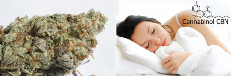 Cannabinol (CBN): El cannabinoide contra l'insomni