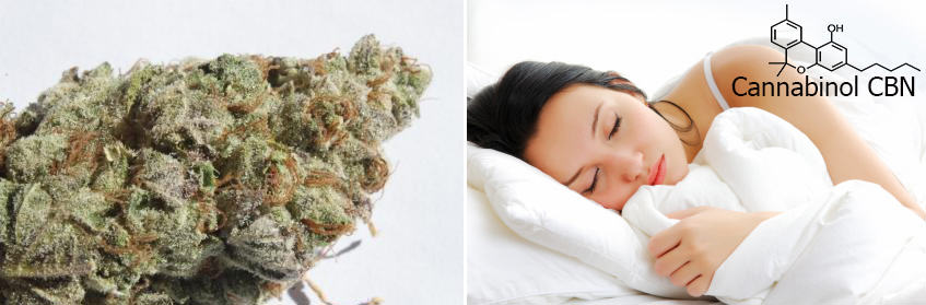 El cànnabis molt curat o ric en CBN ajuda a agafar el son