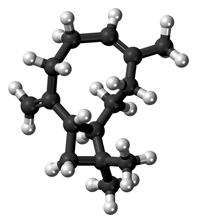 Molècula de cariofilè