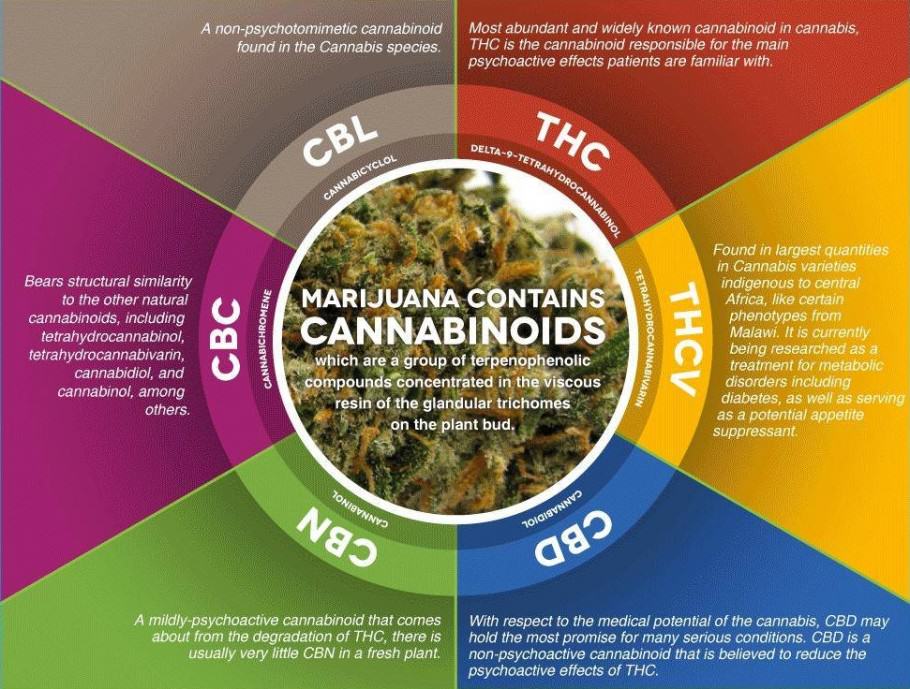 Cannabinoids and their medicinal properties