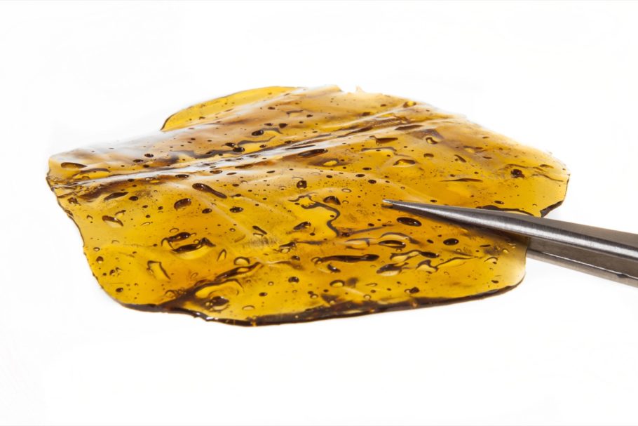 Shatter, a high-purity cannabis concentrate- Alchimia Grow Shop