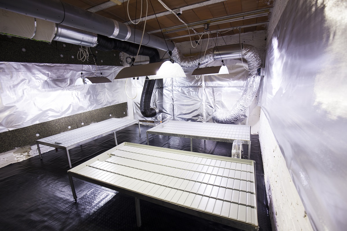 Deep cleaning your grow room or tent- Alchimia Grow Shop