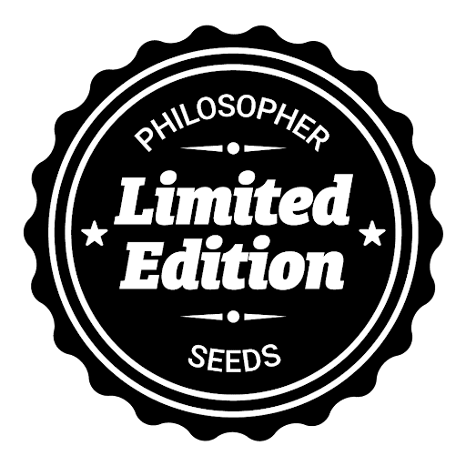 Philosopher Seeds new strains (2024)