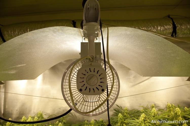 Ventilateur 50 cm 3 vitesses pas cher chez culture indoor ,aérateur