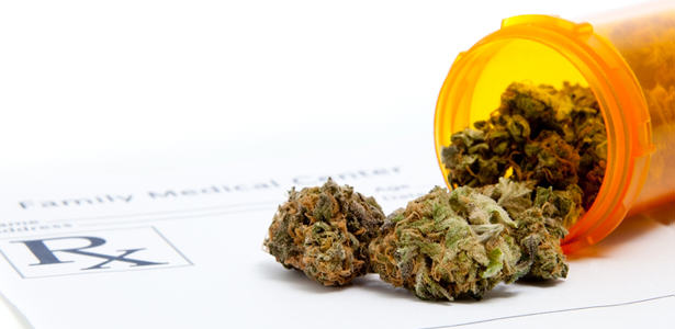 Cannabis et médicaments: CESAMET®, MARINOL®, SATIVEX®- Alchimia Grow Shop