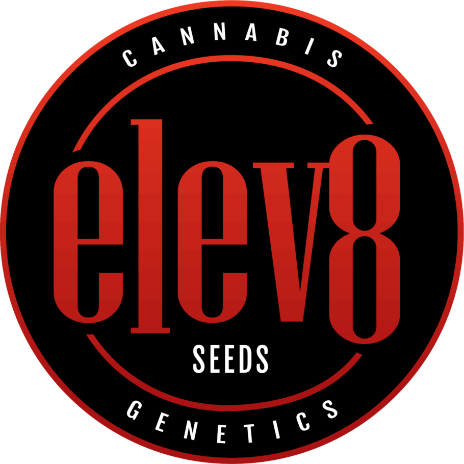 Elev8 Seeds, la garantie d’authentiques génétiques américaines