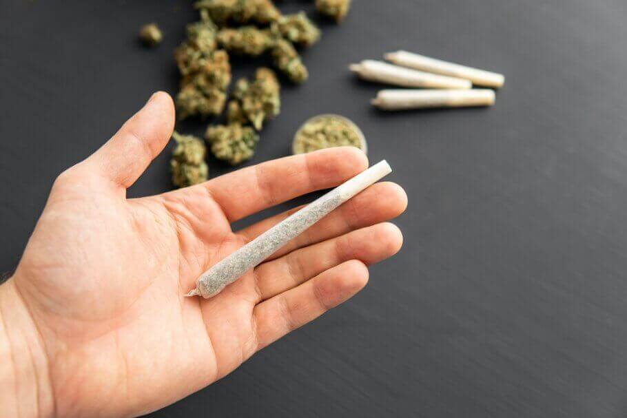 Guide basique pour rouler un joint de cannabis- Alchimia Grow Shop