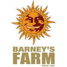 L'histoire de la banque de graines Barney's Farm