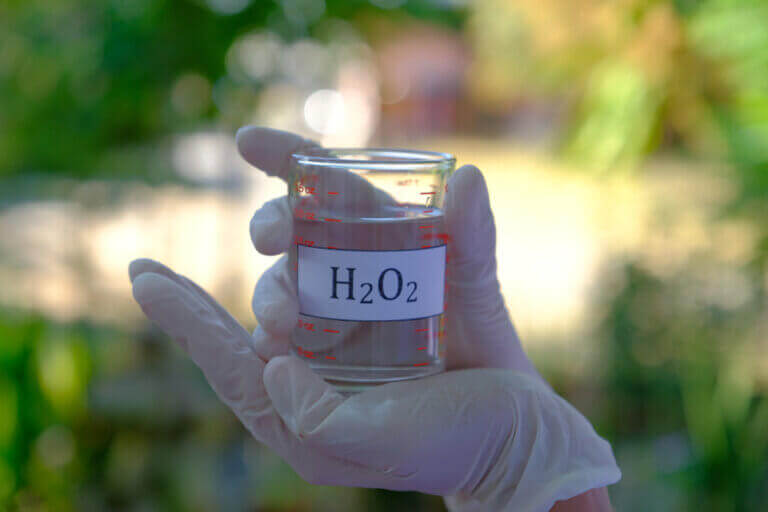 Applications du peroxyde d'hydrogène dans les cultures