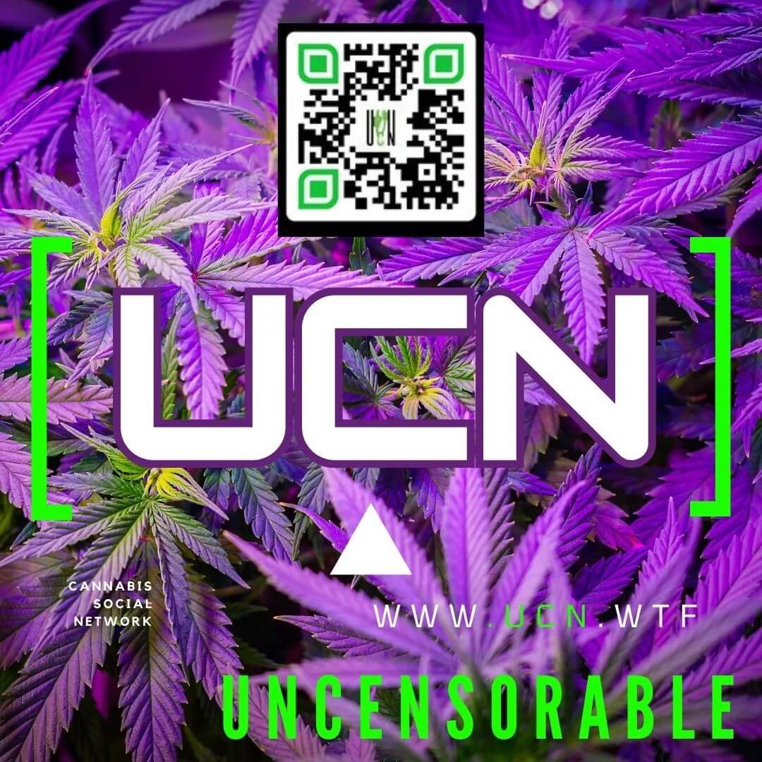UCN: Le réseau social dédié à la communauté du cannabis et du chanvre