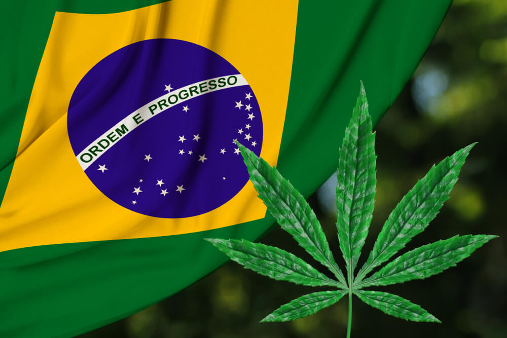 Cannabis et Brésil