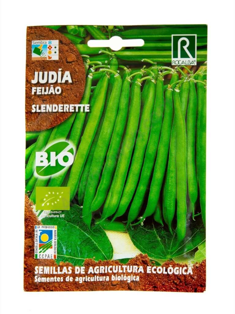 Sale of Rocalba Organic Slenderette Bean Seeds