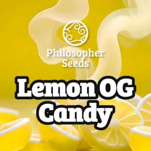 Lemon OG Candy