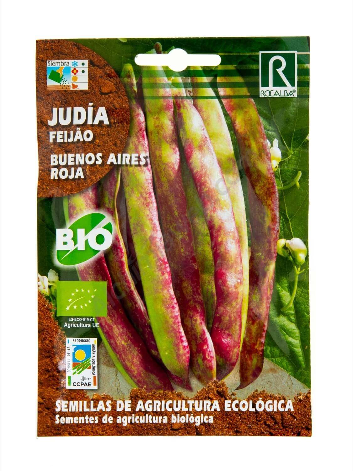 Vente de graines biologiques de Haricots rouges Buenos Aires de Rocalba