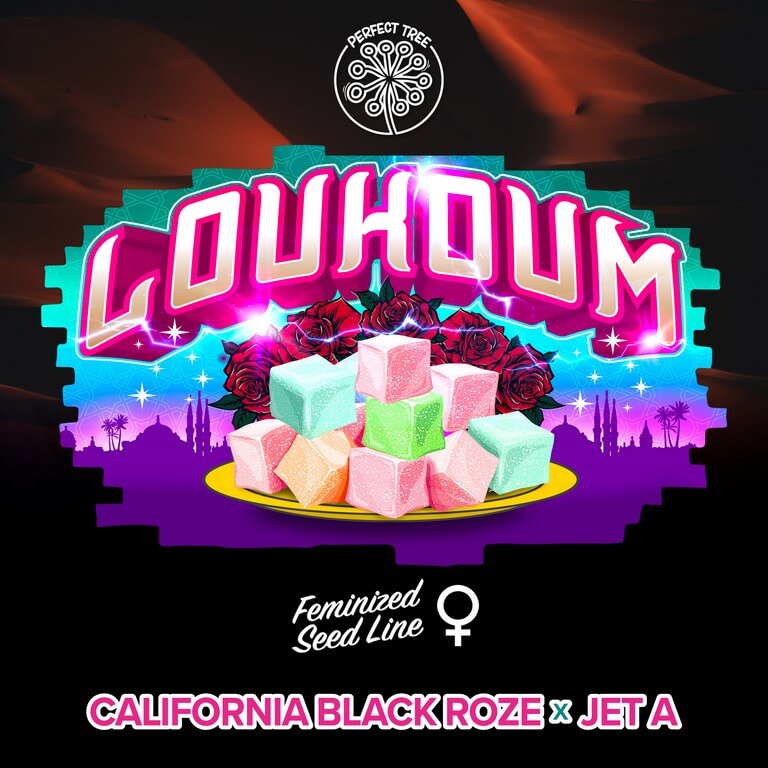 Loukoum, cannabis with a rose flavour