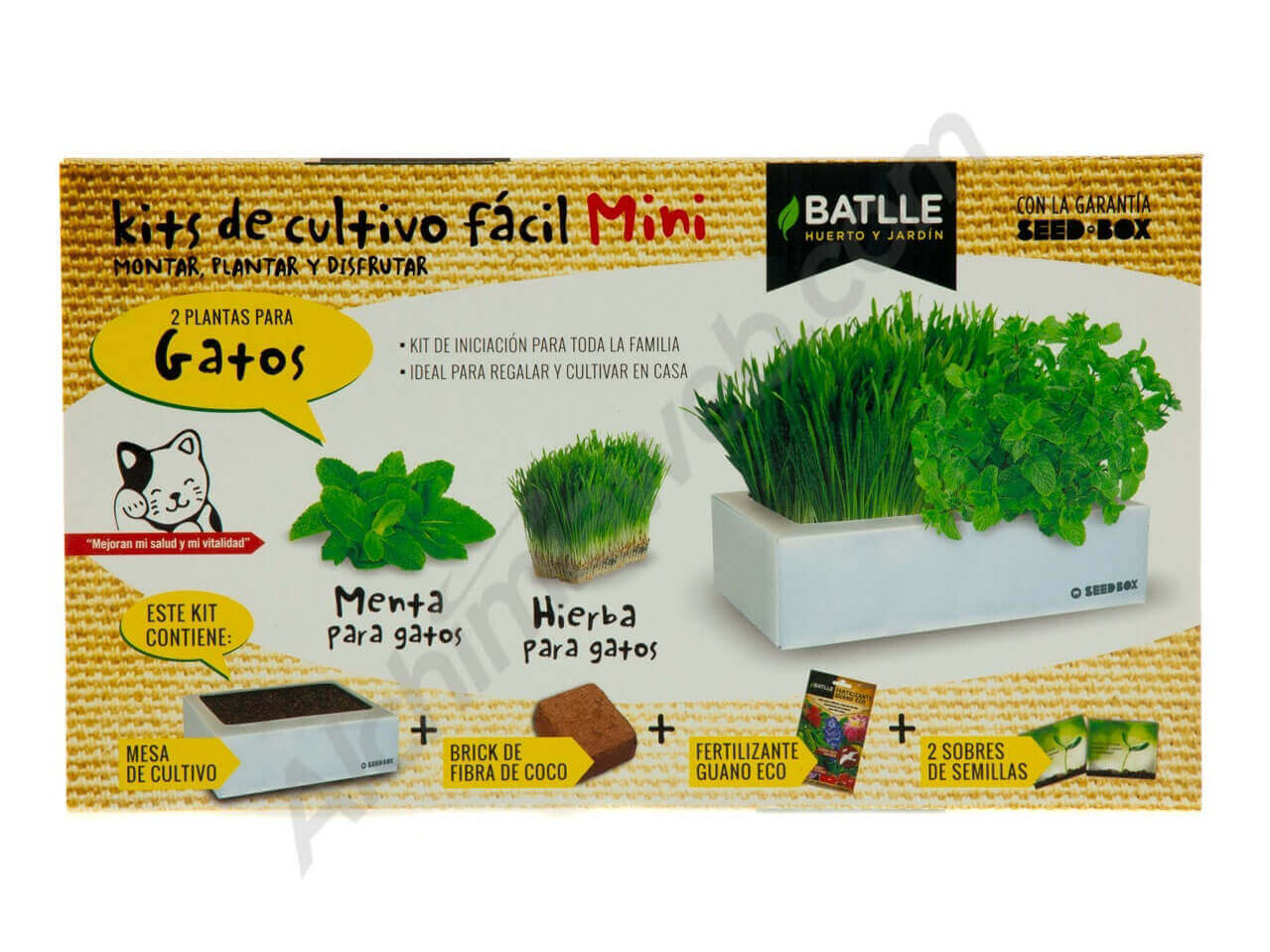 Vente de Kit de culture Seed Box Mini BATLLE – Herbes à chat