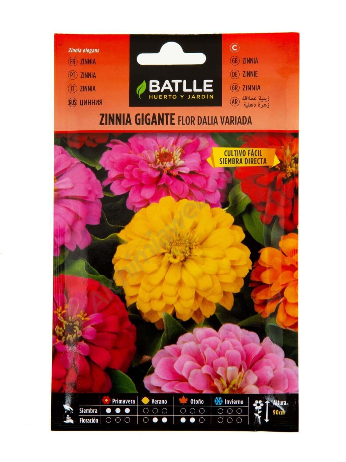 Venta de semillas de Zinnia Gigante Flor de Dalia - Batlle